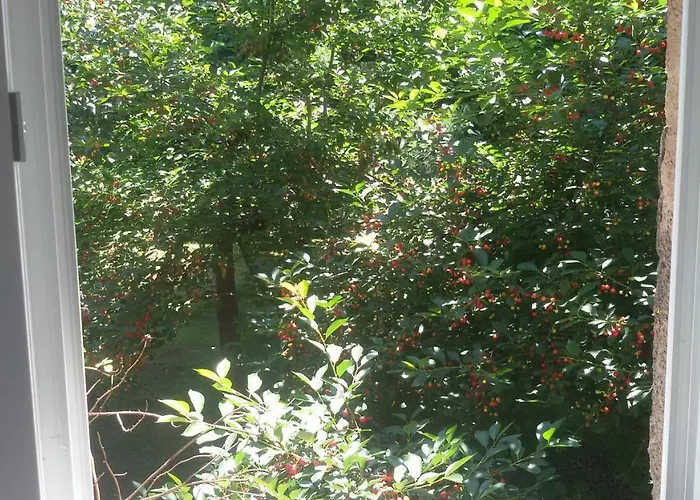 Azra - Sarajevo, Ilidza דירה *